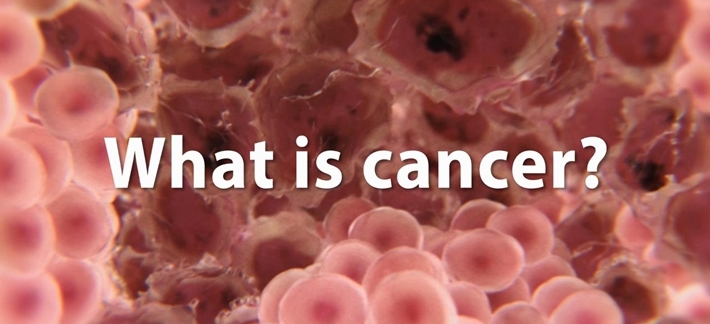 What is Cancer?